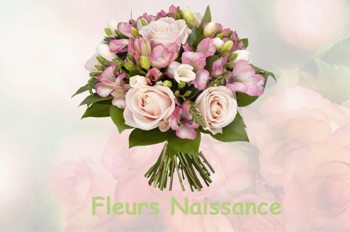 fleurs naissance SAMPANS