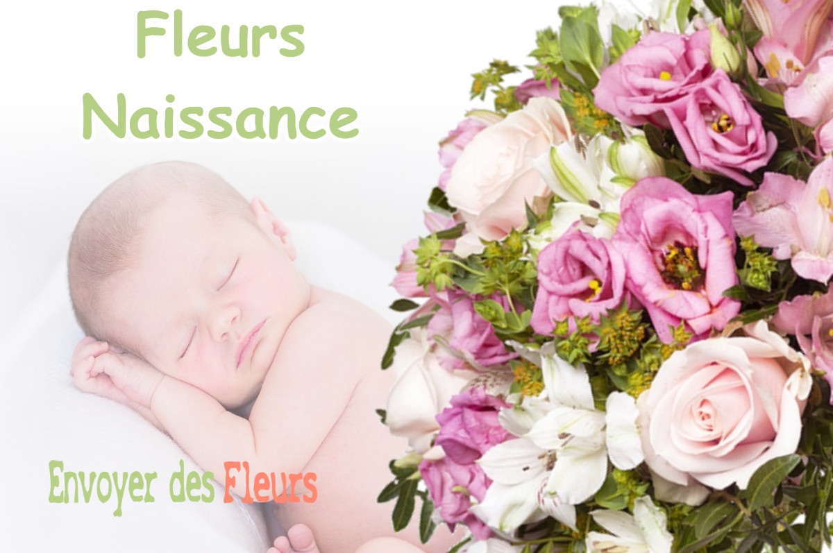 lIVRAISON FLEURS NAISSANCE à SAMPANS